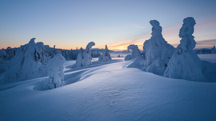 winter view of the Kubinska hola, Slovakia © am13photo