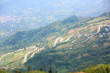 view from the top of the hill