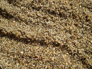 Detail of beach sand