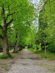 Alley in the Park
