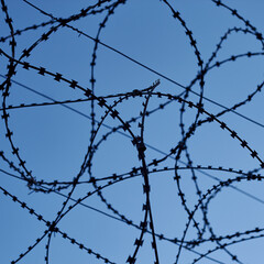 Barbed wire over the fence and blue sky, close up