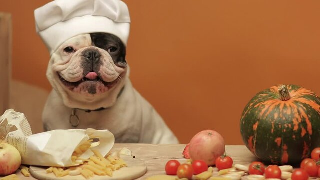 French bulldogs as a chef cooking vegetables