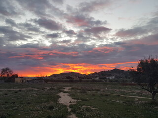 atardecer rojo campo 