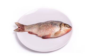 Fresh fish crucian in a plate isolated on a white background. Freshwater fish.