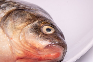 Head of fresh fish carp, crucian carp in a plate close-up. Freshwater fish.
