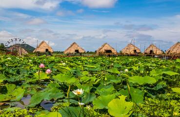 The Landscape, Plants,  Flowers and Buildings  of the Tonle sap Lake near Siem Reap in Cambodia...