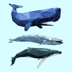 Sea animal low poly geometric polygonal triangle design
