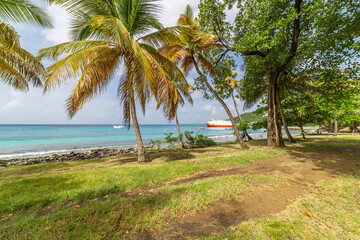 Saint Vincent and the Grenadines, Britannia bay beach, coconut palms, Mustique