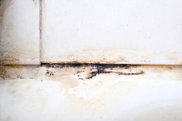 Mold fungus and rust growing in tile joints in damp poorly ventilated bathroom with high humidity, wtness, moisture and dampness problem in bath areas concept