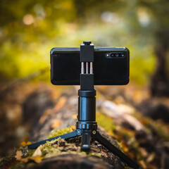 Mobile phone on small tripod mount on a tree in forest