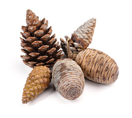 Pine and cedar cones isolated on white, clipping path included