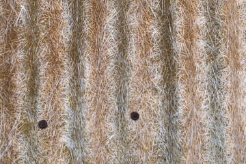old fiberglass corrugated roofing