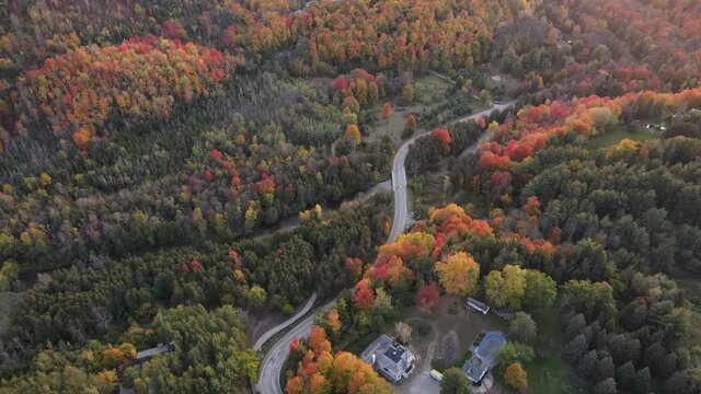 Aerial panoramic view of the colorful trees in autumn, small vilage and curvy road. Establishing shot, Ontario, Canada