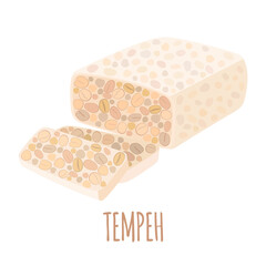 Vector Soy tempeh icon in flat style isolated on white.