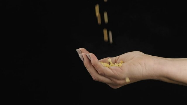 Peas grains falling into a woman's palm. Grains in hands on a dark background.
