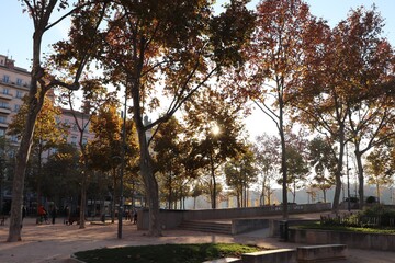la place maréchal Lyautey à Lyon en automne et ses arbres, ville de Lyon, département du Rhône,...