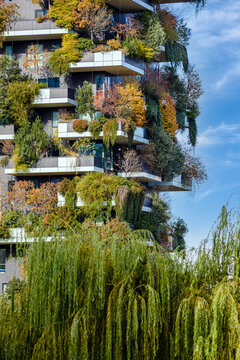 Milano, Porta Garibaldi, Bosco Verticale in autunno