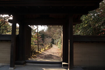 Fototapeta na wymiar 円成寺の入口