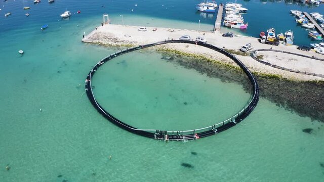 Fish farm in docks, Marsaxlokk Malta