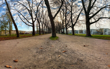 Trees, autumn in empty German park