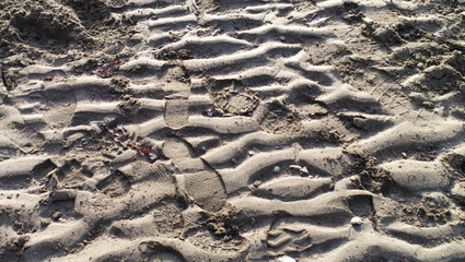 Sandy beach with footprints 