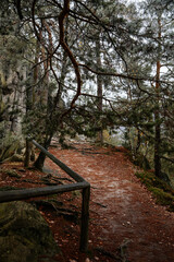 Hiking Golden Trail of Bohemian Paradise near Vranov castle and Pantheon, sandstone landscape autumn day, Pine tree on the top of rock formation, Mala Skala, Czech Republic