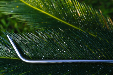 Reusable stainless steel drinking straw on green palm leaf natural background. Eco-friendly kitchen products. Zero waste sustainable plastic free lifestyle