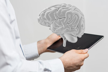 human brain imagination learning and mind