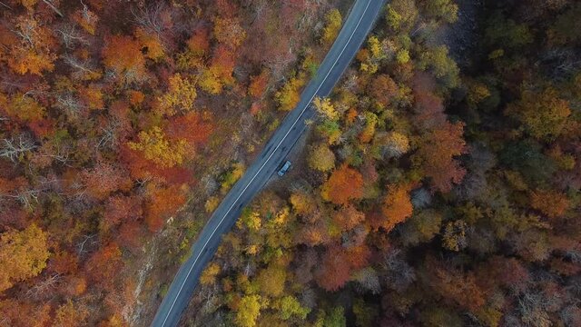 Aerial top down view of a car parked on the side of a road with little traffic, in Romania, that's surrounded by a dense and colorful forest in the autumn season