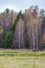 Fall landscape on the gloomy day