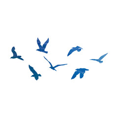 Set of black hand drawn strokes birds seagulls, flock. Drawing sketch of sea birds. On white background. Inspirational body flash tattoo ink. Vector.