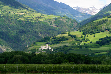 Fototapeta na wymiar Summer landscape along the cycleway of the Venosta valley