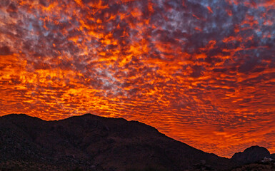Fototapeta na wymiar Blazing Desert Sunset Over the Mcdowell Mountains In AZ
