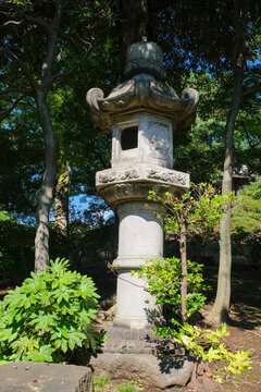 旧古河庭園 日本庭園  奥の院型灯籠