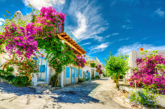 Bodrum street view in Turkey