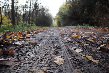 mountain bike tire tracks on a dirt road in nature, during autumn