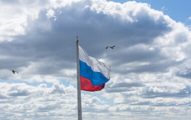 Russian flag against a cloudy sky and two flying seagulls