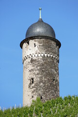 Obraz premium Runder Turm mit grünen Weinreben in Zell an der Mosel