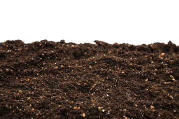 Black land for plant.