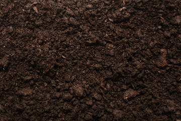 Black land for plant background.