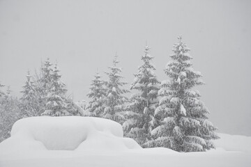 Obraz premium snow covered trees in winter in the Alps