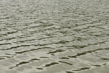 ripples in the water