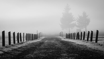 Obraz premium B&W pathway