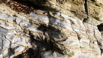Patterns and backgrounds in the beach side rocks
