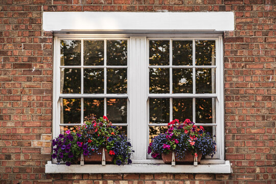 the windows of a victorian house with window boxes and bright flowers