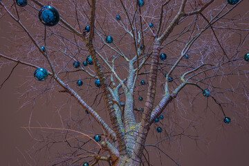 Tree decorated with Christmas baubles with night lights as background