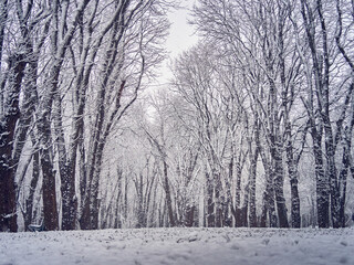 Snowy winter park with slush on the path