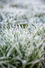 Nahaufnahme eines Grasb&uuml;schels mit Eiskristallen und Raureif bedeckt als Makro Hintergrund