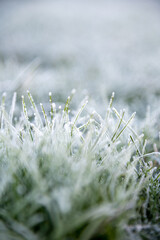 Nahaufnahme eines Grasb&uuml;schels mit Eiskristallen und Raureif bedeckt als Makro Hintergrund