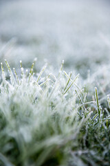 Nahaufnahme eines Grasb&uuml;schels mit Eiskristallen und Raureif bedeckt als Makro Hintergrund
